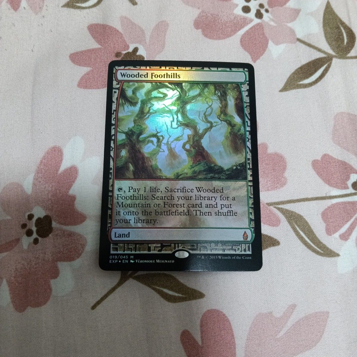 魂の洞窟 MTG 英語 2枚｜Yahoo!フリマ（旧PayPayフリマ）