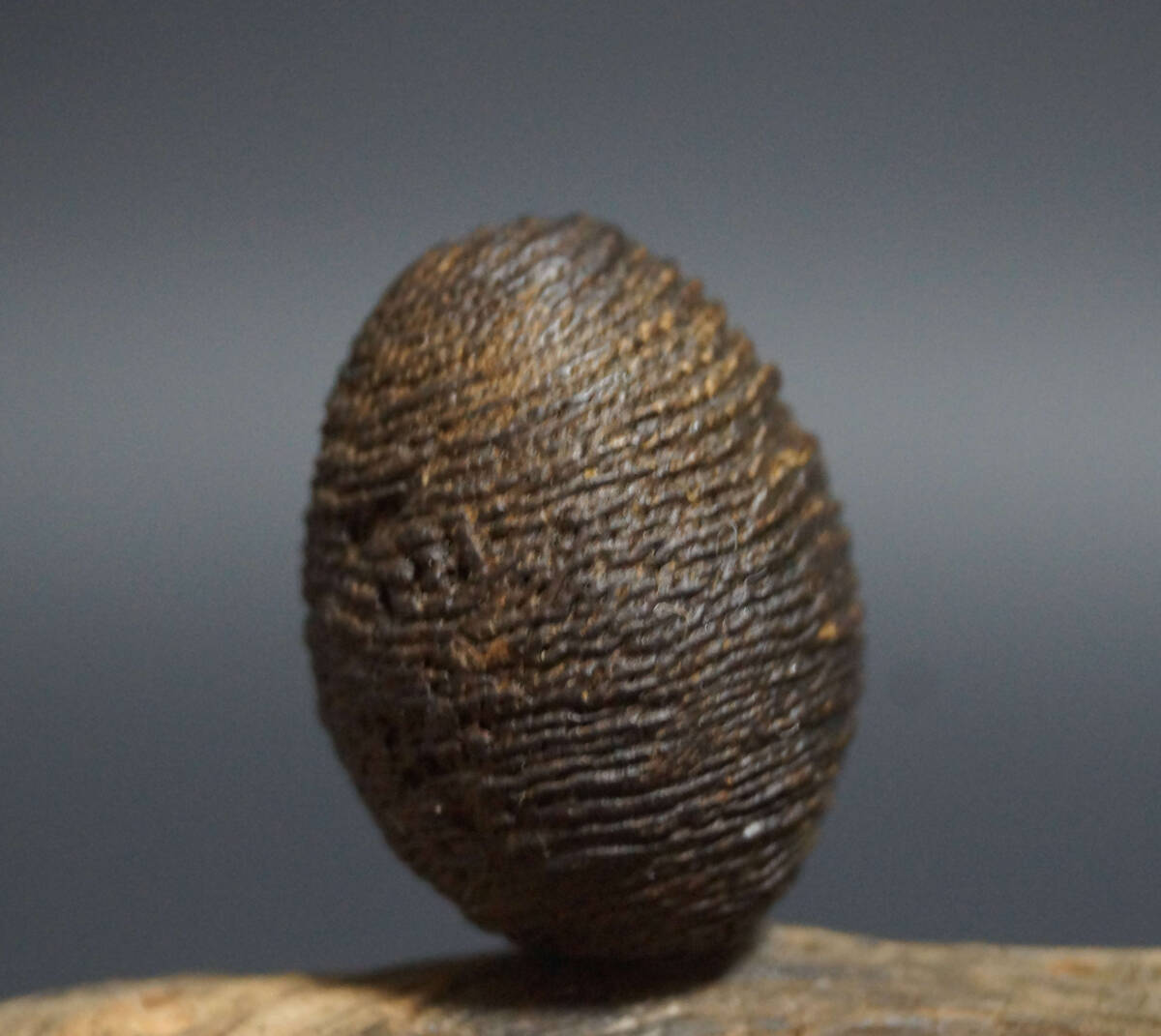 2026年最新】Yahoo!オークション -緒締玉の中古品・新品・未使用品一覧