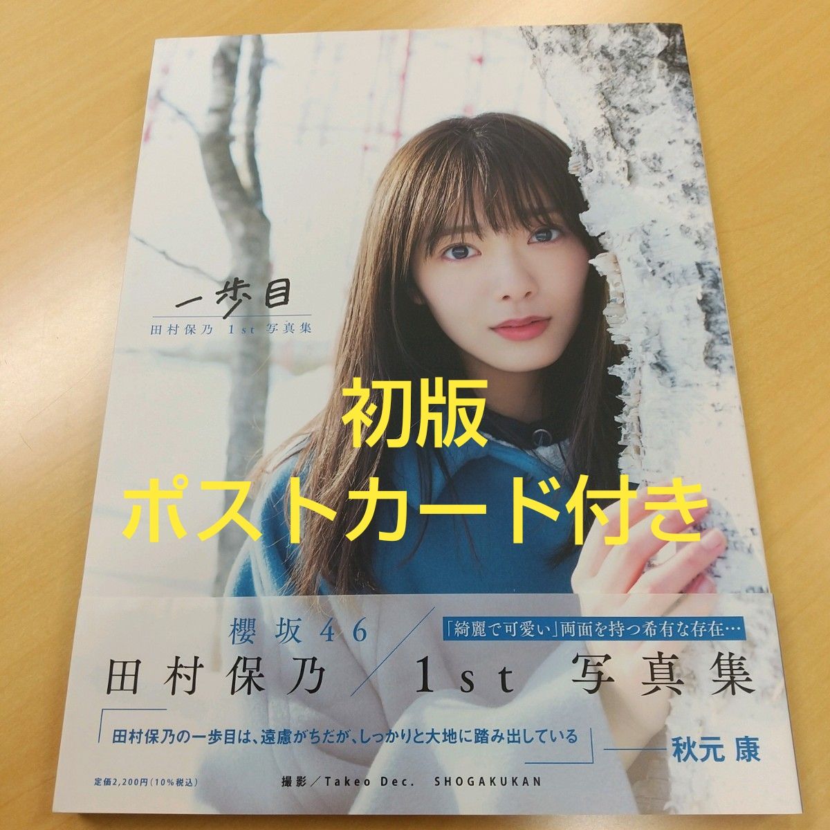 櫻坂46 田村保乃 小池美波 承認欲求 額縁マグネット｜Yahoo!フリマ（旧