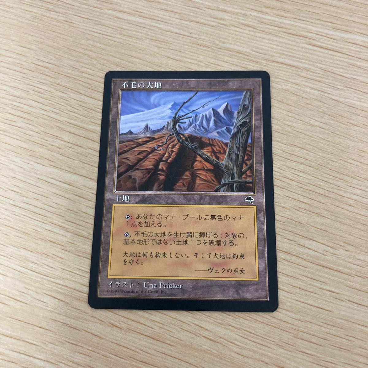 不毛の大地 Wasteland MTG 日本語 TMP｜Yahoo!フリマ（旧PayPayフリマ）