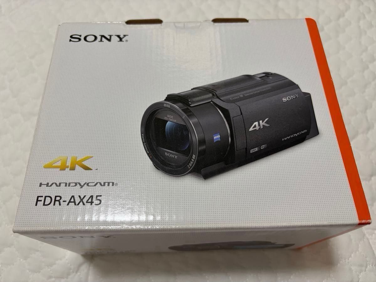 動作品SONY HDR-SR12 120GB デジタルビデオカメラ ナイトショット