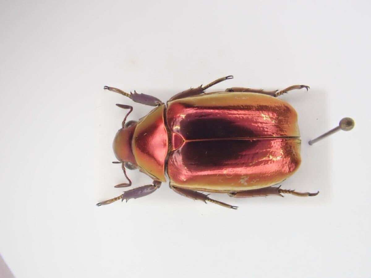 プラチナコガネの値段と価格推移は？｜5件の売買データからプラチナ