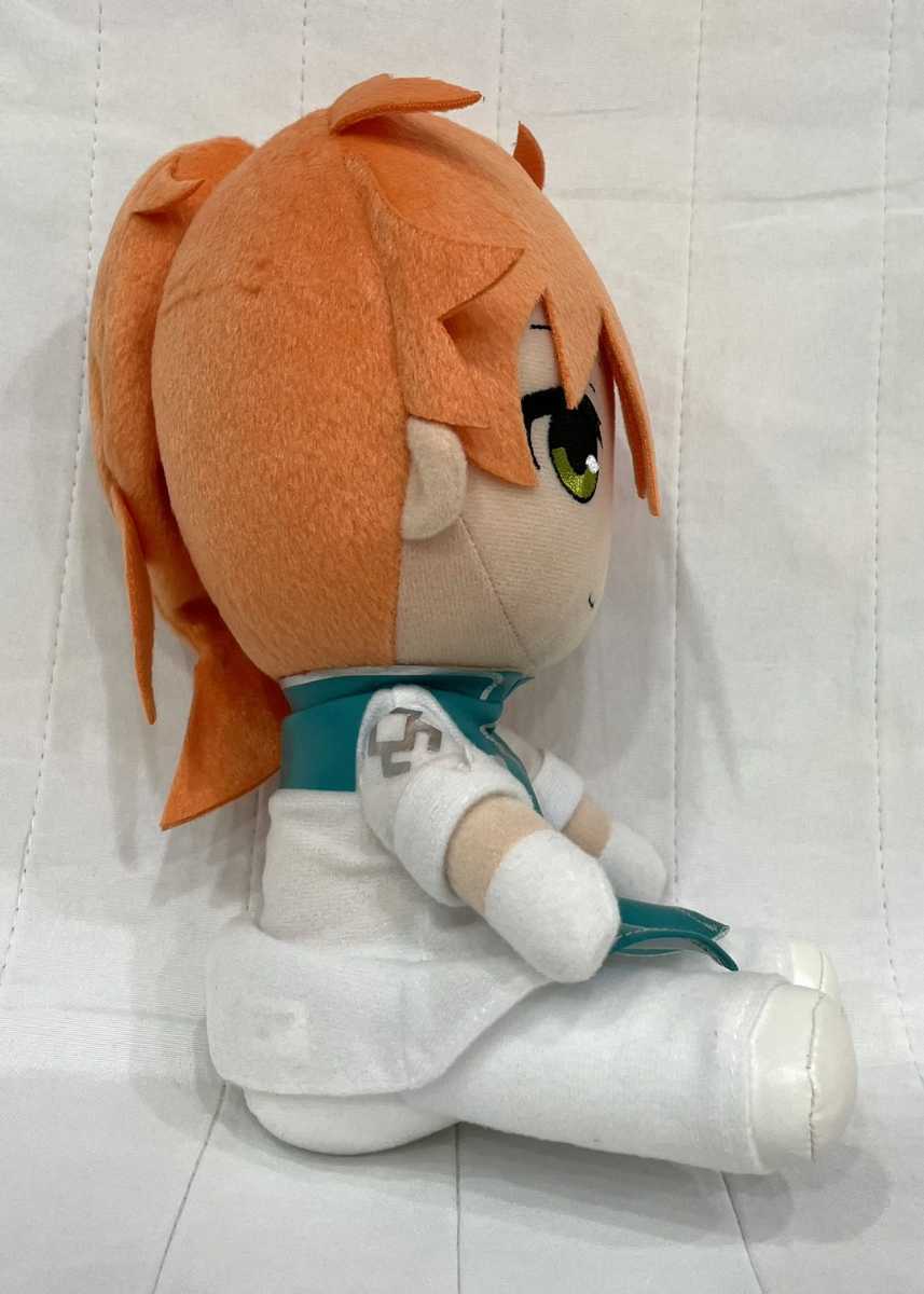 ZZ【ロマニ・アーキマン】Fate/Grand Order FGO ぬいぐるみ ギフト