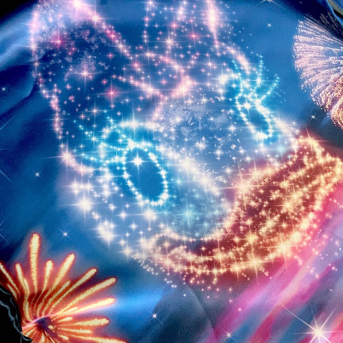 1時間限定値下げ中 【希少】東京ディズニーリゾート カーテン