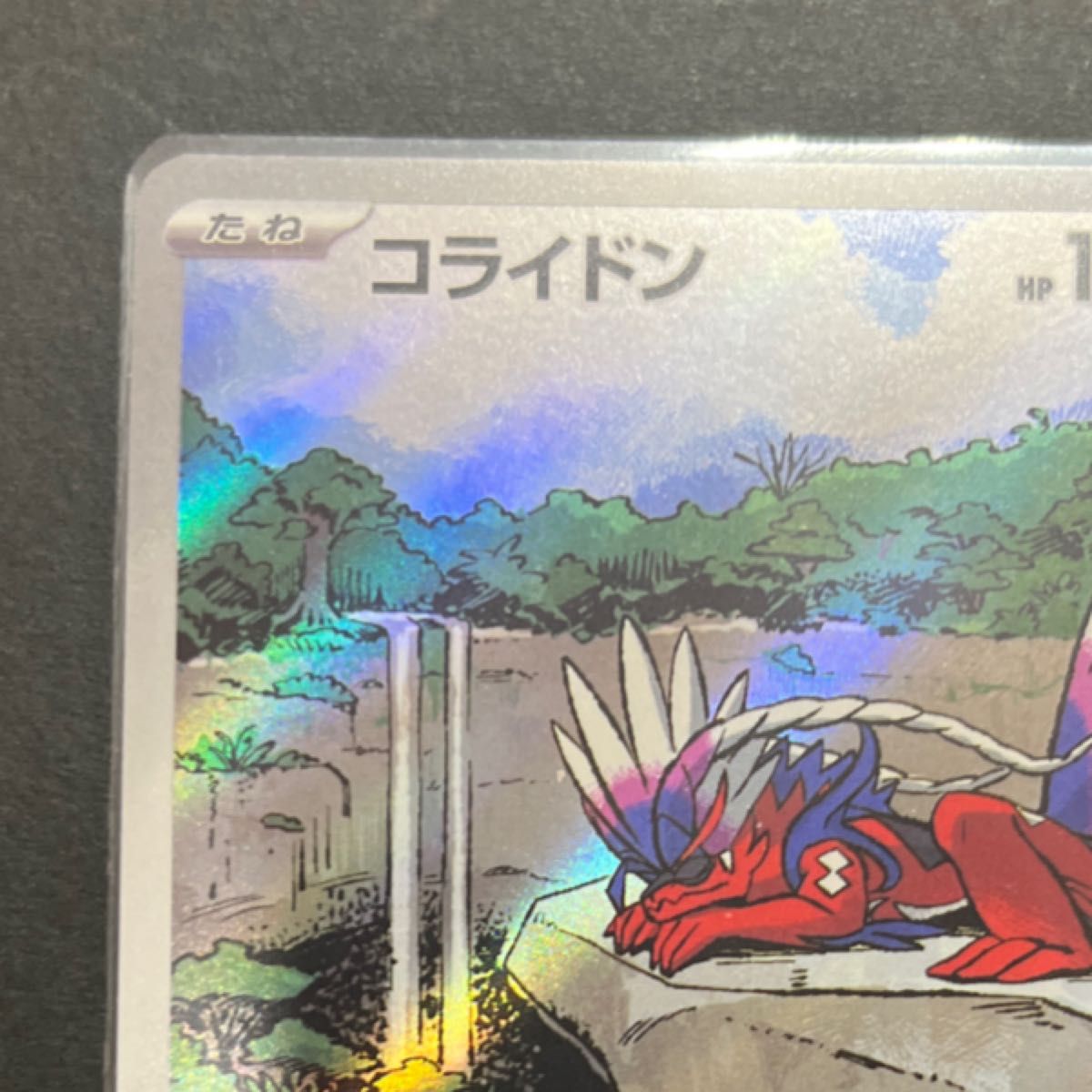 コライドン プロモ シールド戦 ポケモンカード 高騰 レアポケカ｜Yahoo