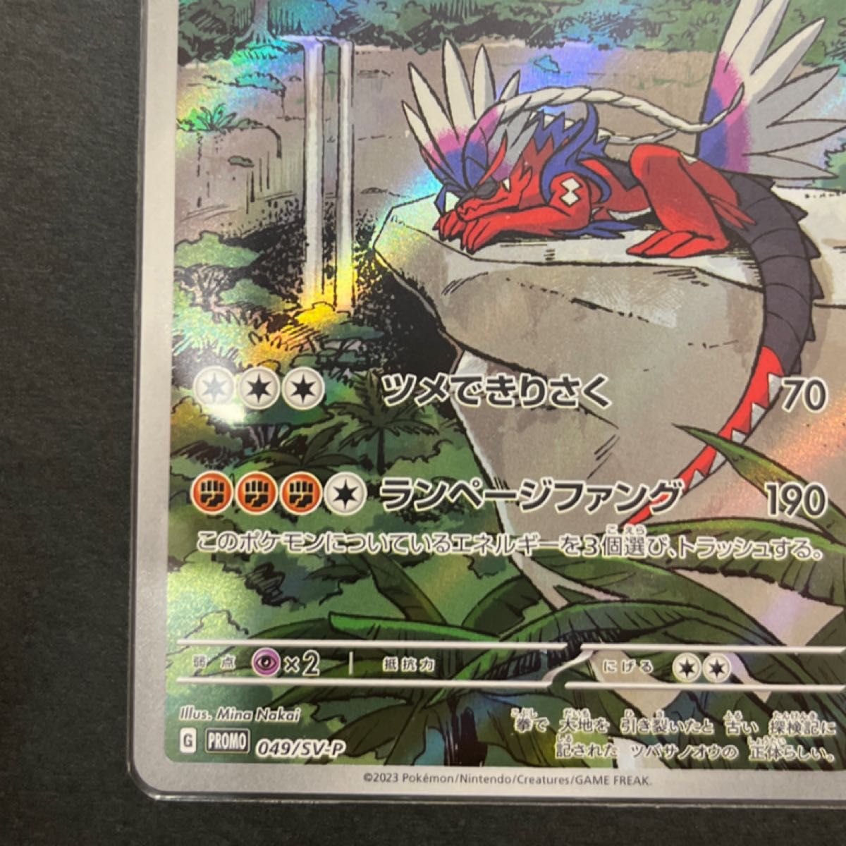 コライドン プロモ シールド戦 ポケモンカード 高騰 レアポケカ｜Yahoo