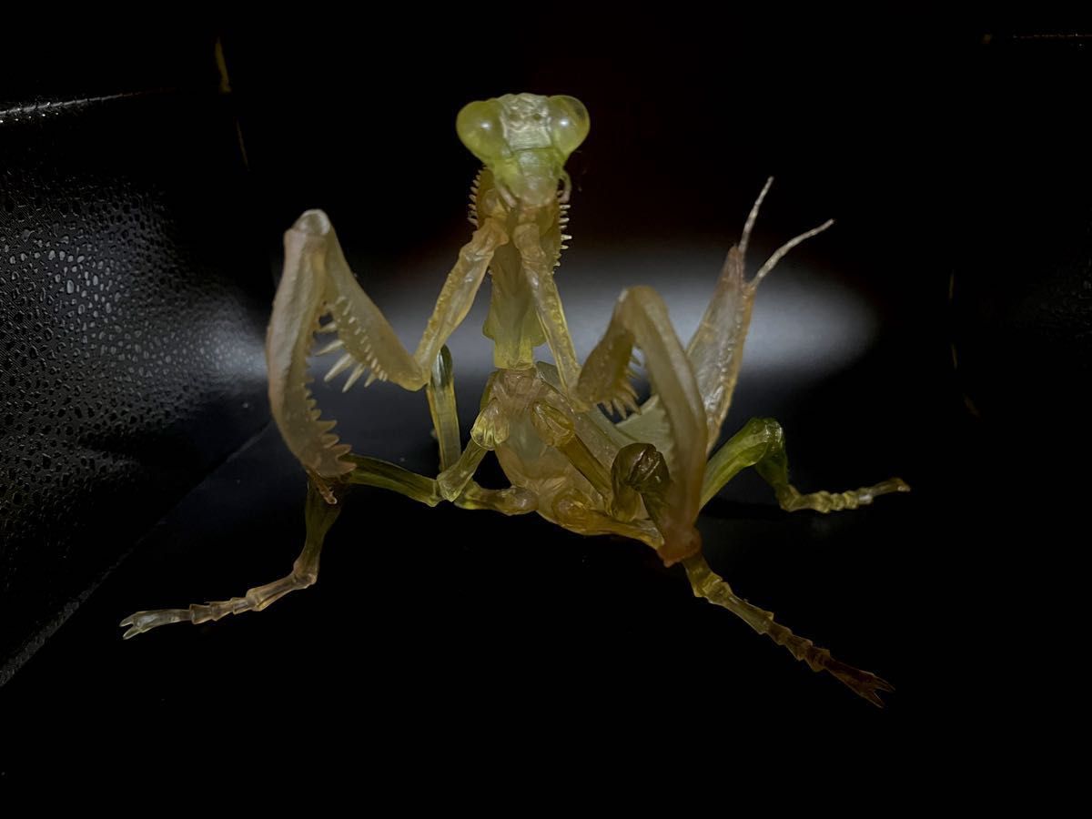 鬼レア 】範馬 刃牙＆蟷螂（非販売品カマキリ）フィギュアーツZERO vs