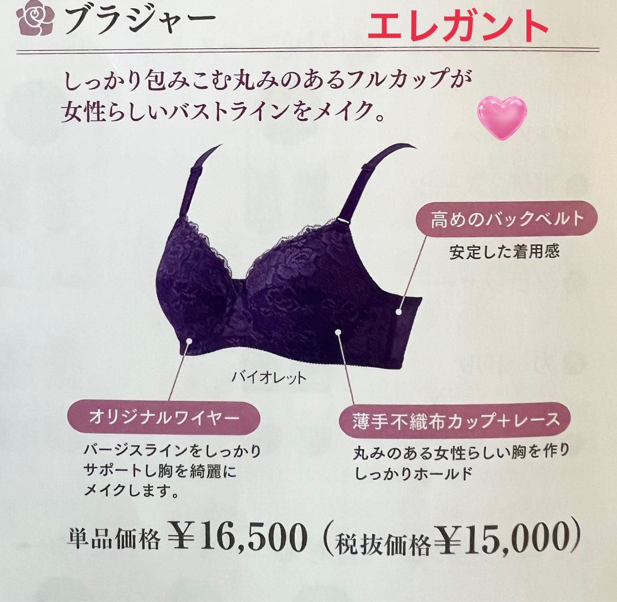 シャンデールエレガントNew柄パワーネットブラジャーE75 新色新商品