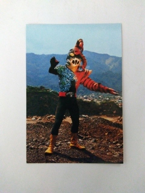 Yahoo!オークション - 2003年 カルビー 仮面ライダーチップスカード 29