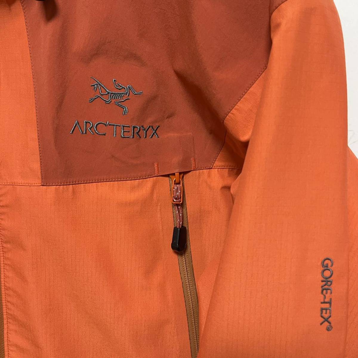アークテリクス Arc'teryx ビンテージ BETA AR カナダ製 銀刺繍