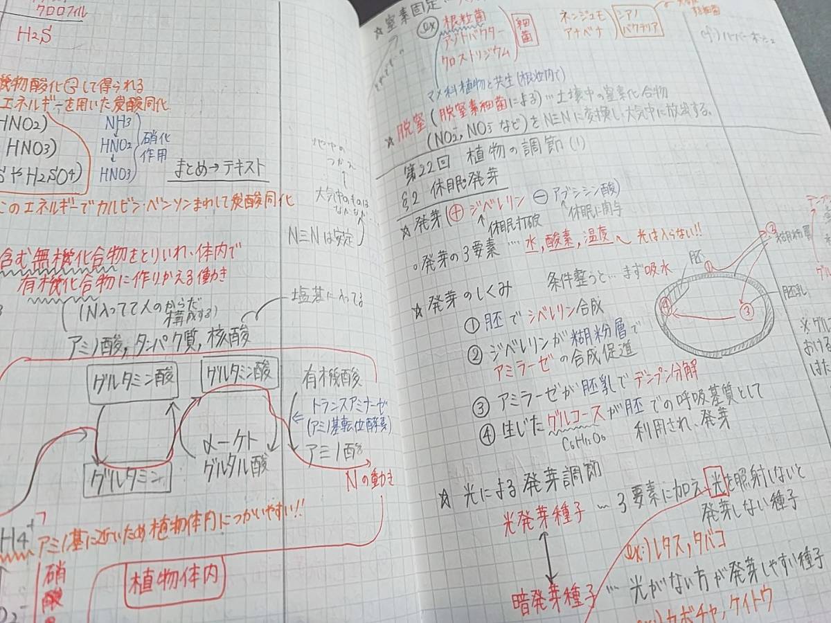 鉄緑会 21年度前期 高2生物基礎講座 板書ノート 上位クラス おまけ