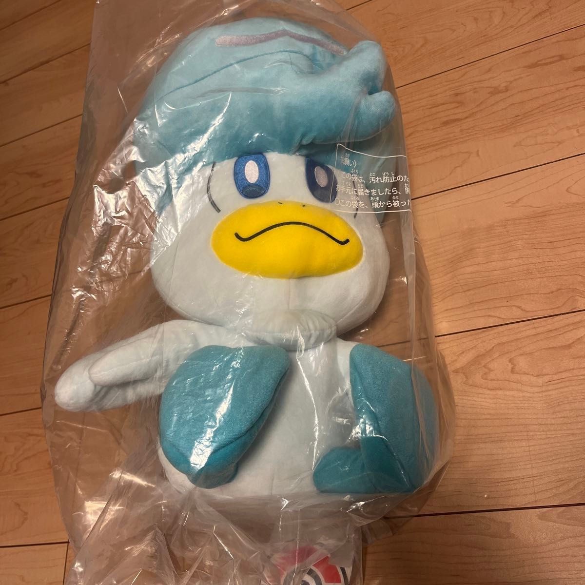 ポケモンセンター「ピカピカボックス」2024 福袋・福箱 ぬいぐるみ