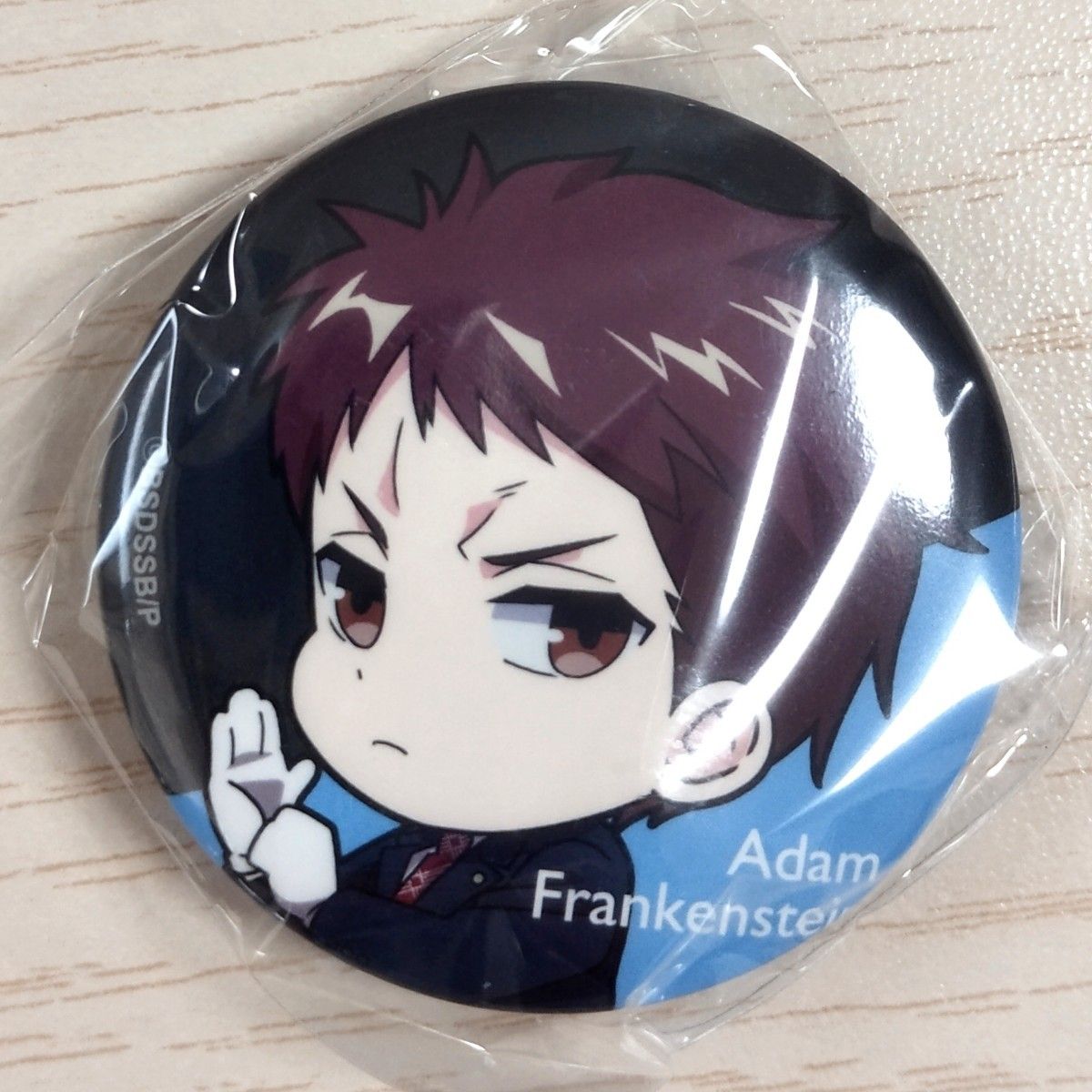 文豪ストレイドッグス【STORM BRINGER】缶バッジ (ポール