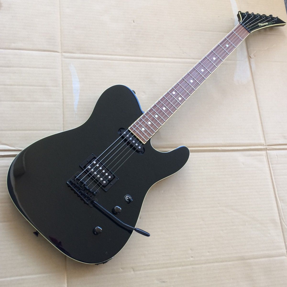 FERNANDES フェルナンデス TEJ LIMITED EDITION テレキャスター 布袋