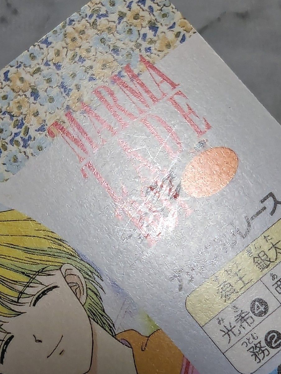 ママレード・ボーイ トレカ アマダ PPカード NO 20 NO 34 当時物 吉住