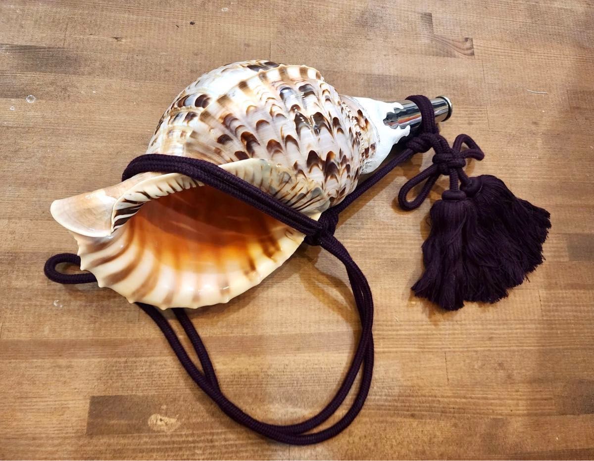 修験道 法螺貝 34 5cm 840g 螺貝 法具 大峰山｜Yahoo!フリマ（旧PayPay