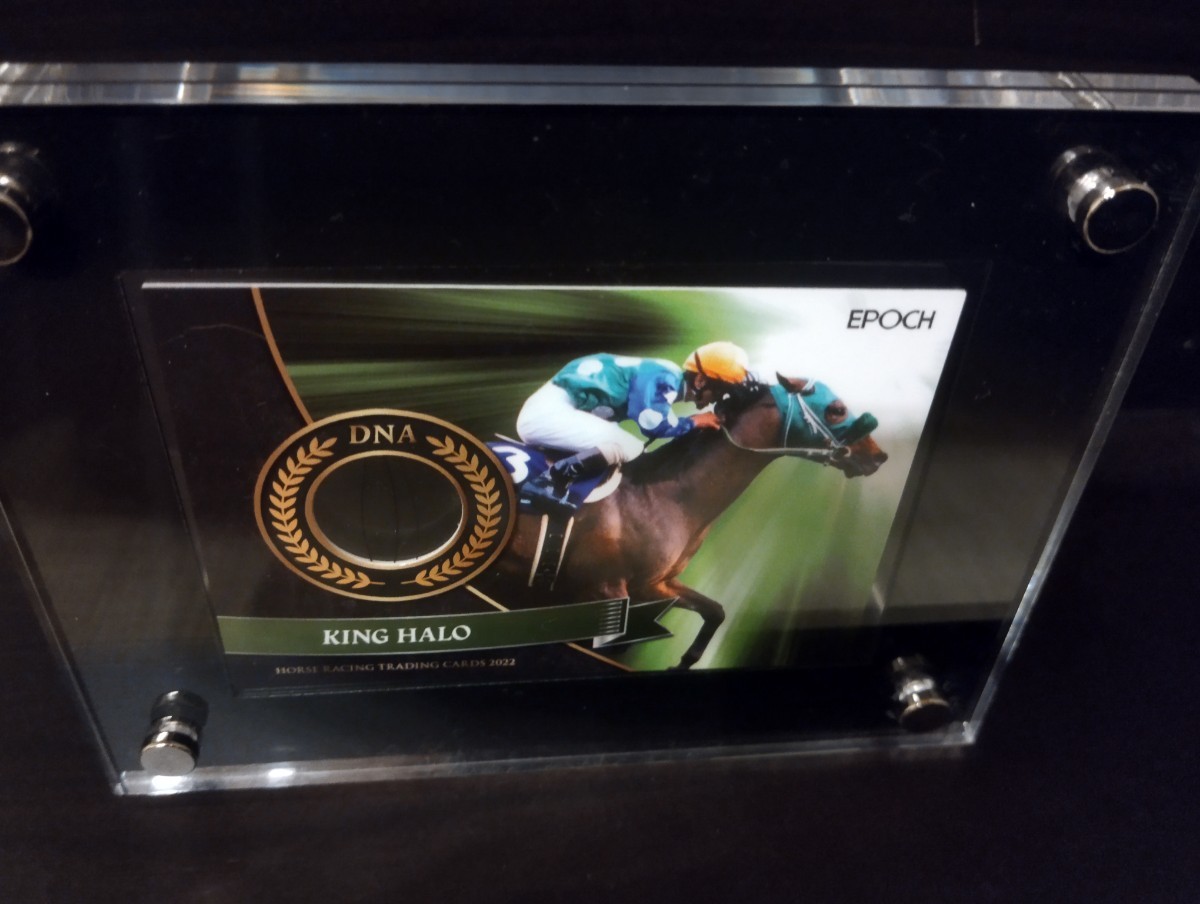 Yahoo!オークション - ホースレーシング キングヘイロー DNAカード エ