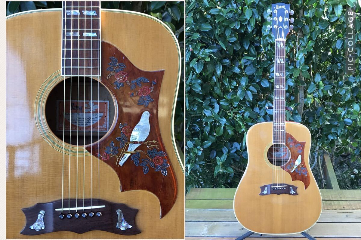 Bunny BD-85 DOVE model バーニー ダヴ ダブルXブレーシング｜Yahoo