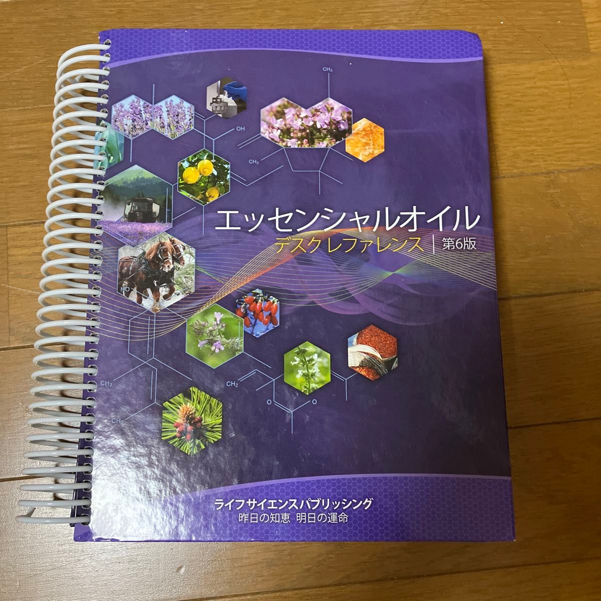 ヤングリビング エッセンシャルオイル ディスクレファレンス 本｜Yahoo