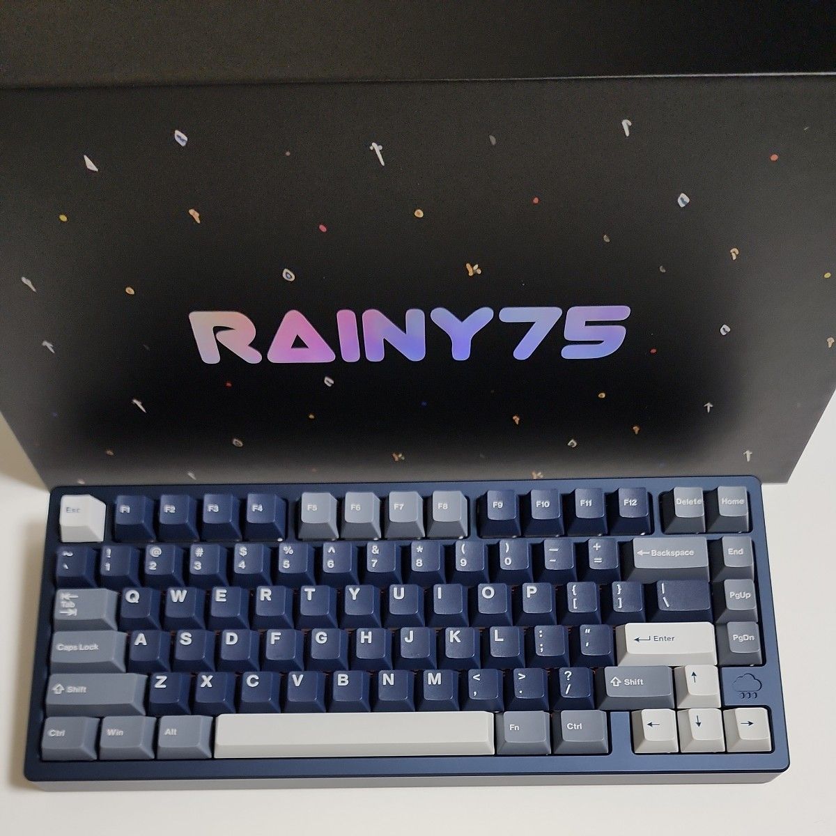 Rainy 75 - Anodized Navy (日本限定色) - Pro / WOBKEY キーボード
