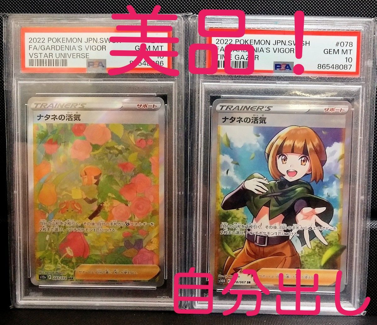 希少 PSA10 連番 ナタネの活気 SAR 243/172 SR 078/067 ポケモンカード