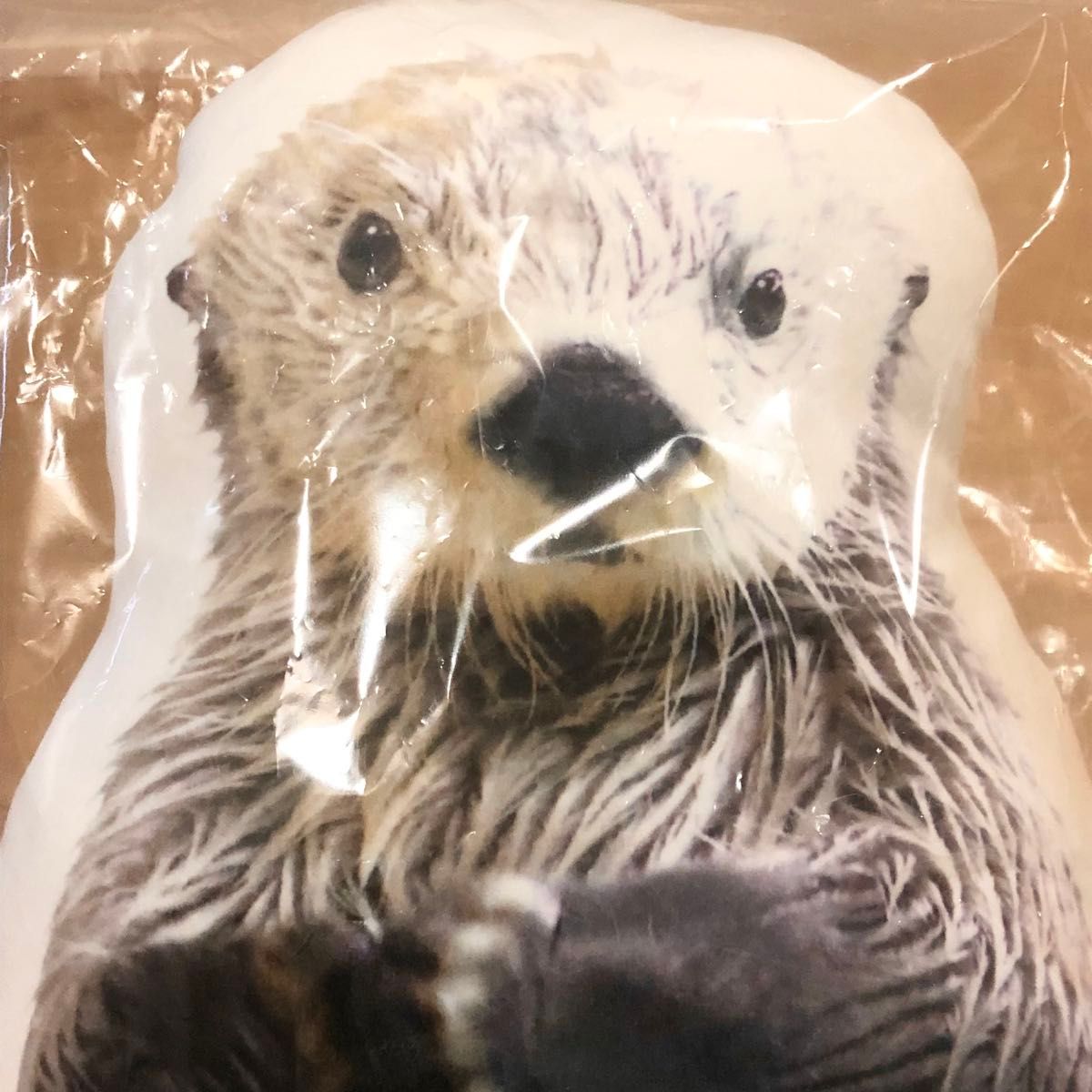 鳥羽水族館 キラメイクッション ラッコ イキラグッズ メイ キラ めい