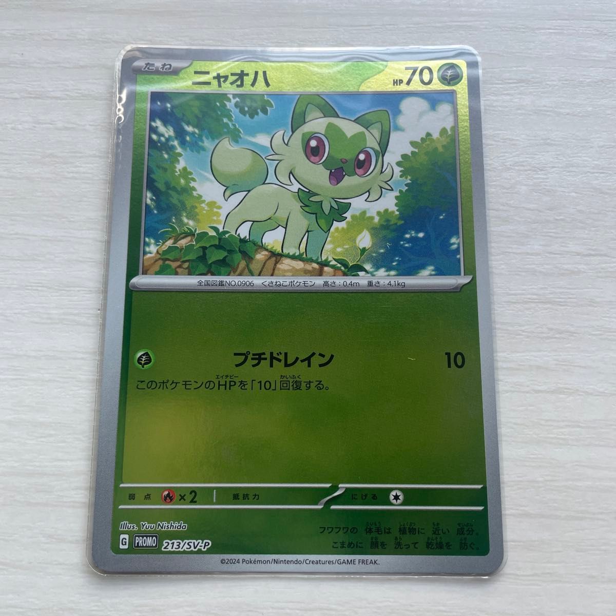 ポケモンカード ポケカの夏がキタ プロモ 4枚セット｜Yahoo!フリマ（旧