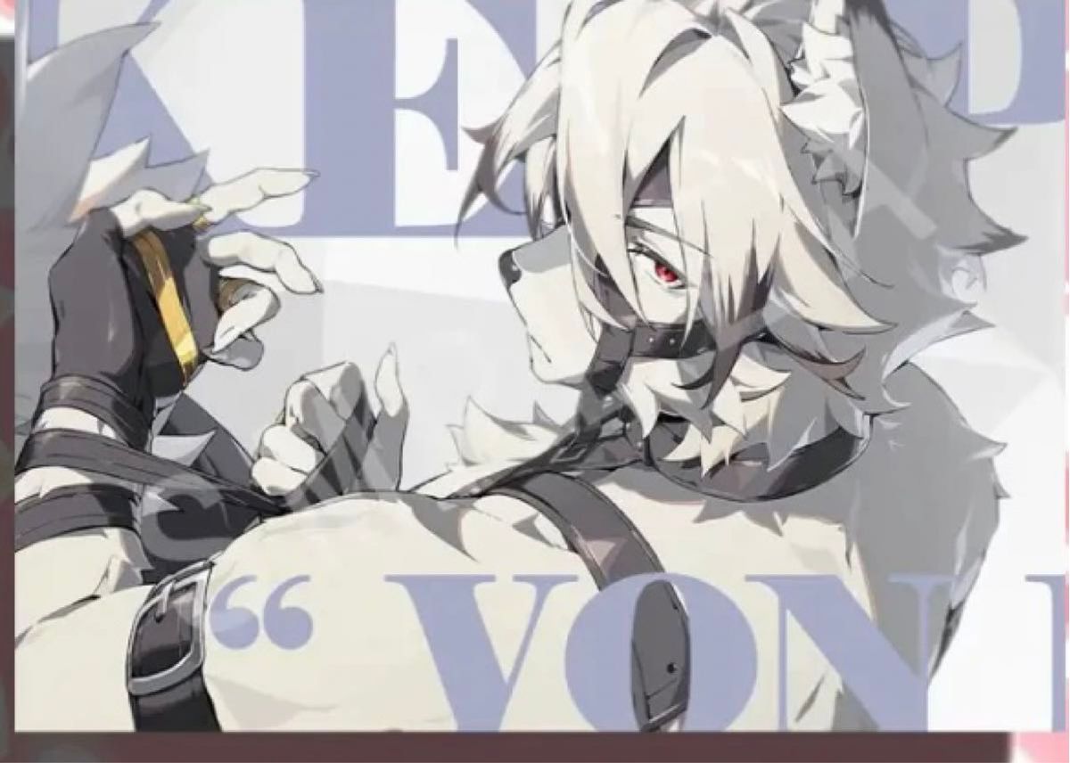 新品未開封 ゼンレスゾーンゼロ フォトカード ライカン｜Yahoo!フリマ