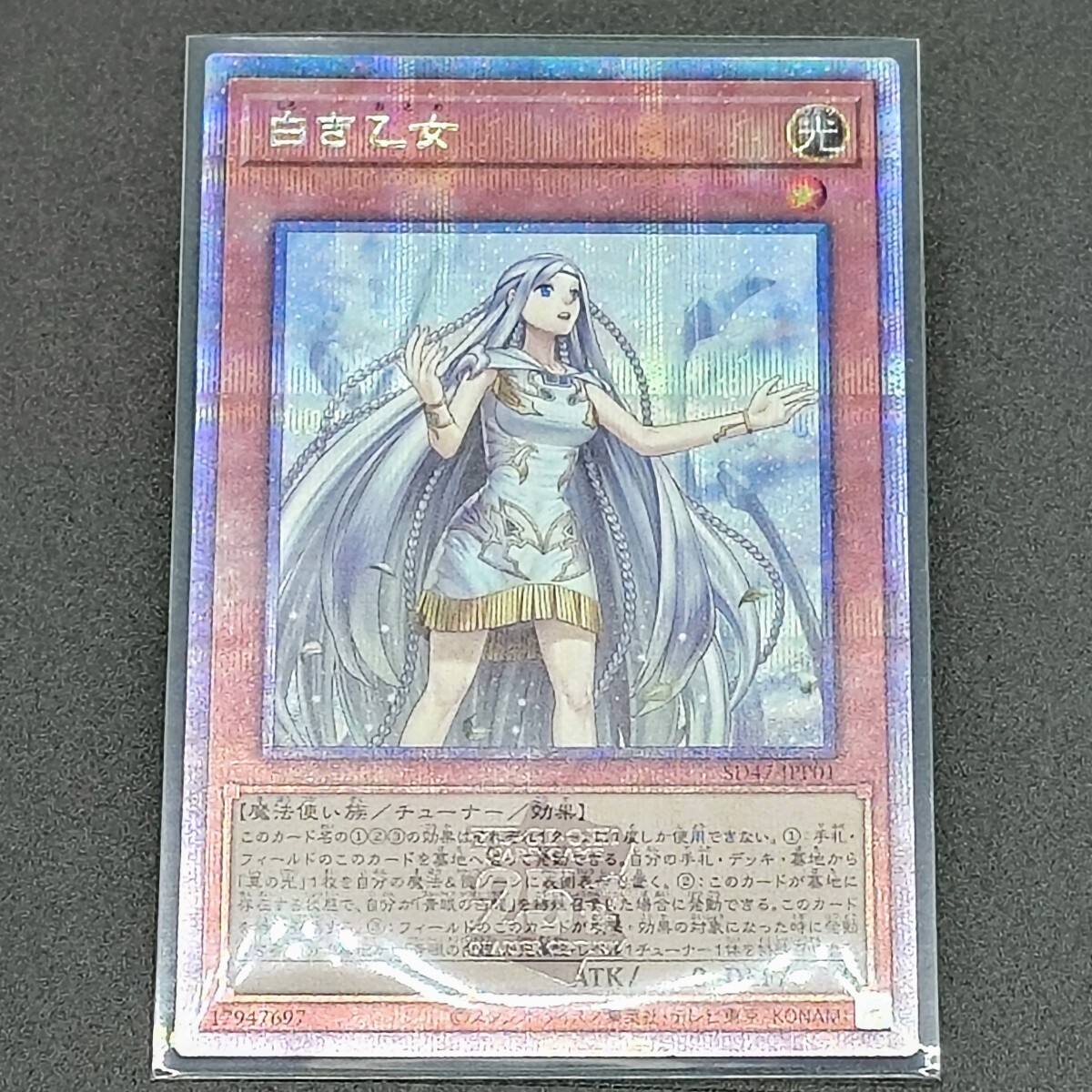 超美品】 白き乙女 25th クオシク クォーターセンチュリーシークレット
