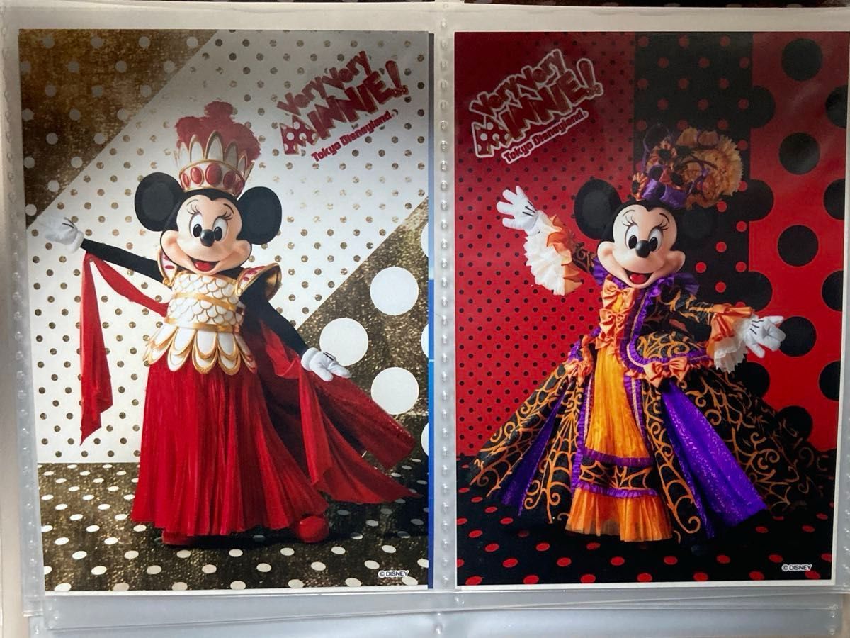 東京ディズニーランド ベリーベリーミニー スペシャルフォト 20枚