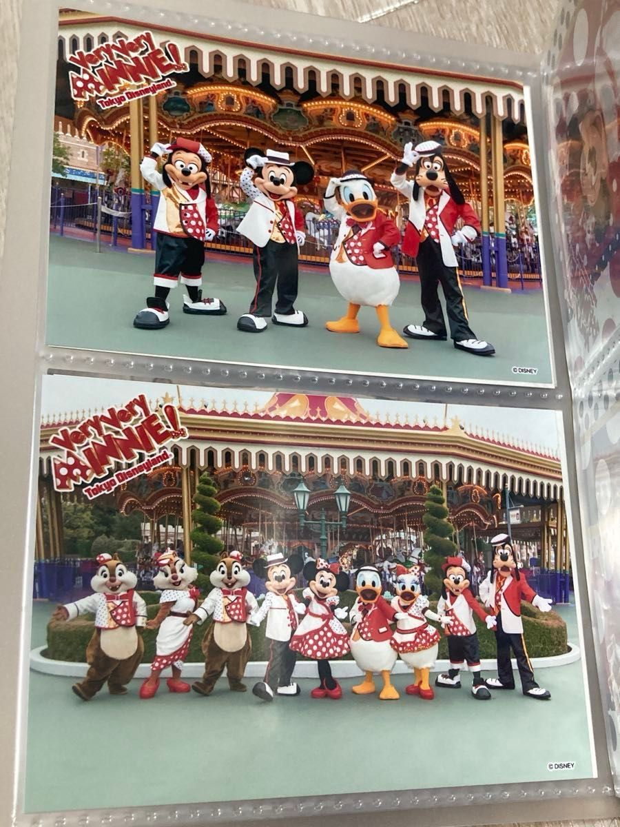 東京ディズニーランド ベリーベリーミニー スペシャルフォト 20枚