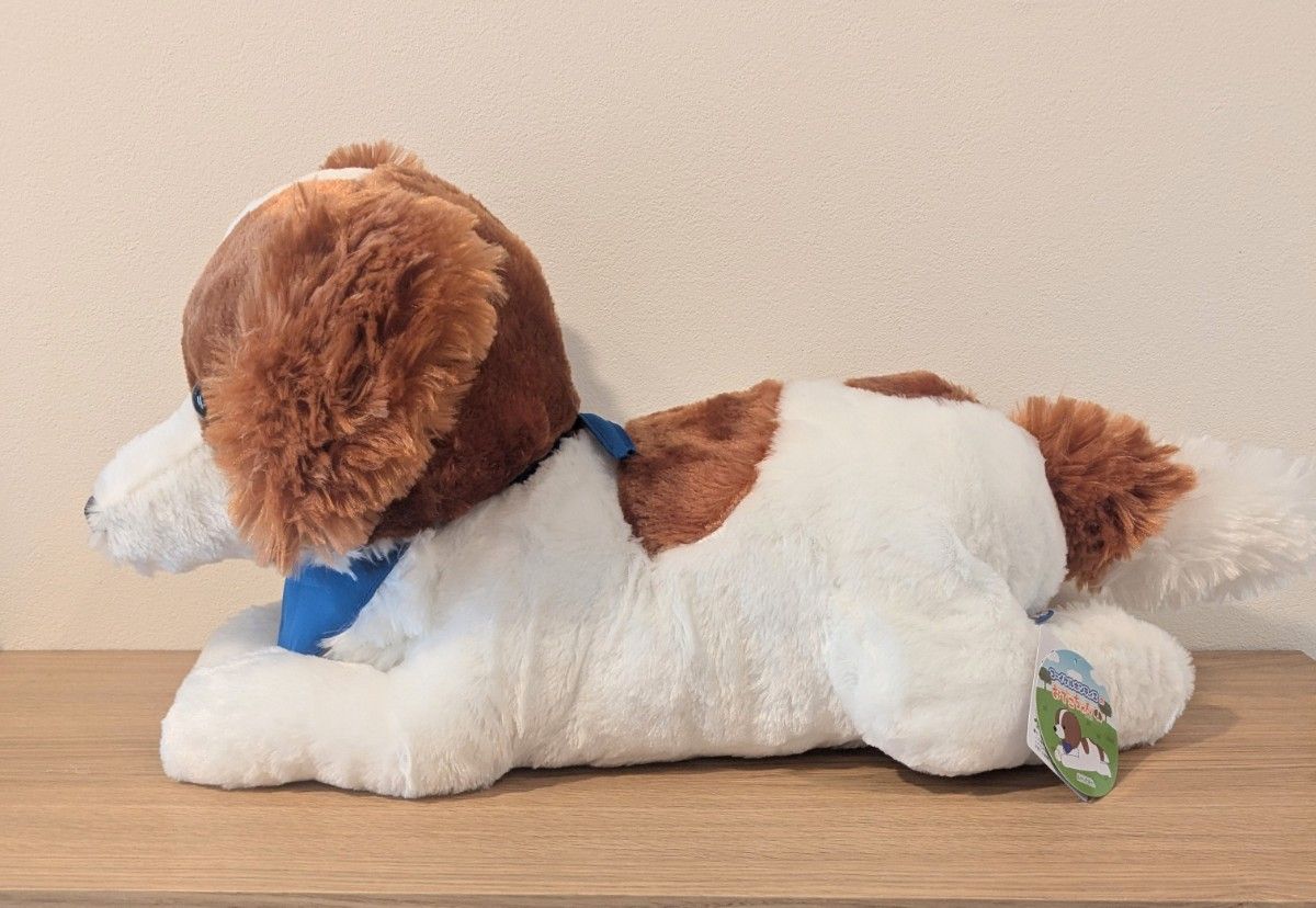 新品 コーイケルホンディエ ウルトラBIGぬいぐるみ デコピン おでこ