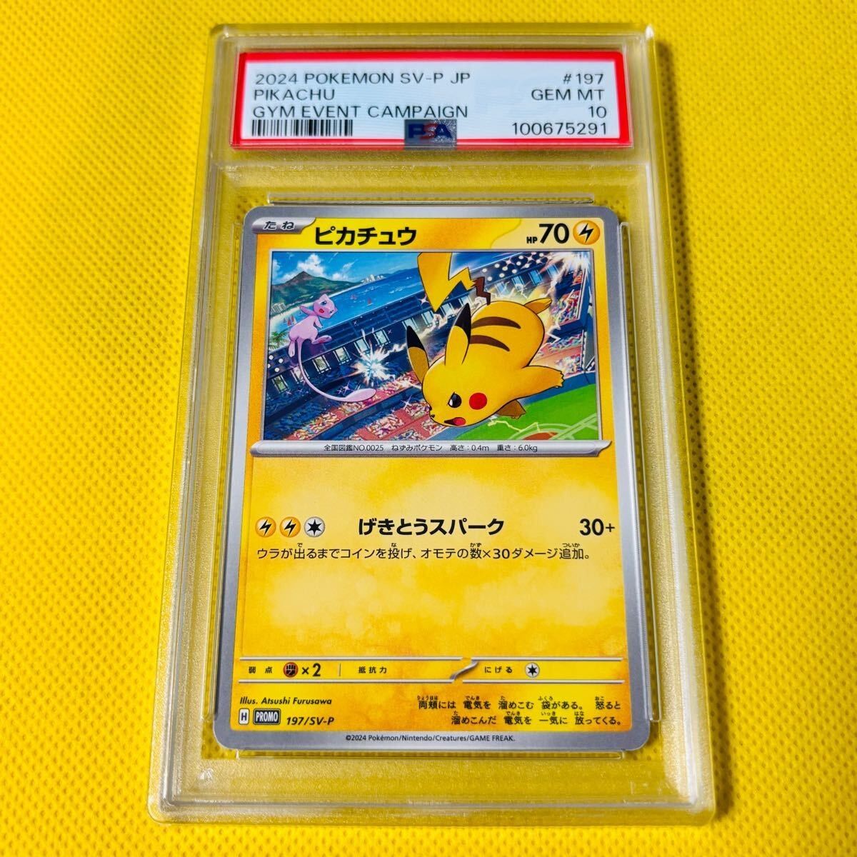 PSA10 【ピカチュウ/ミュウ/プロモ】2024 PIKACHU 197/SV-P｜Yahoo