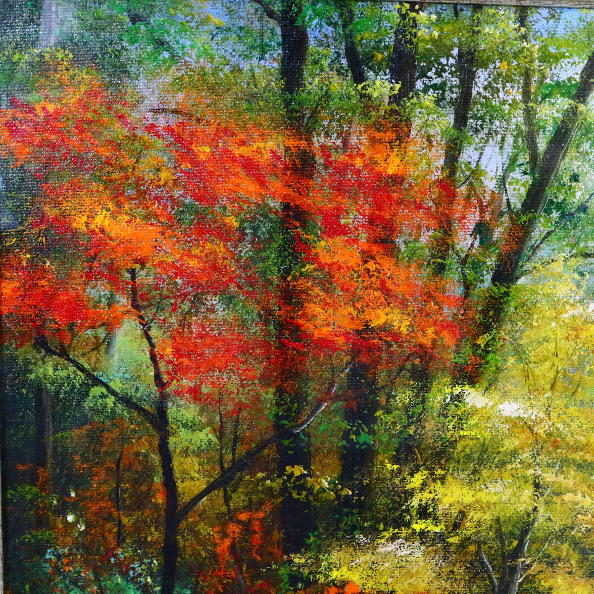 Yahoo!オークション - 【真作保証】 流月真一 奥入瀬 油彩 風景画 油絵