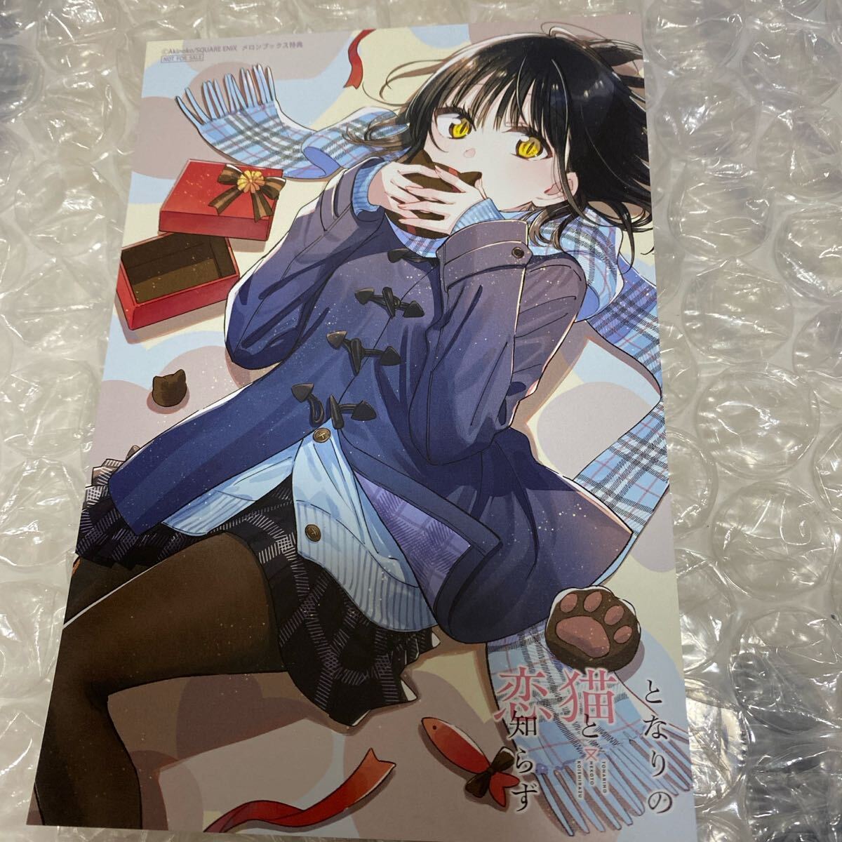 となりの猫と恋知らず イラストカード バレンタイン 特典 非売品
