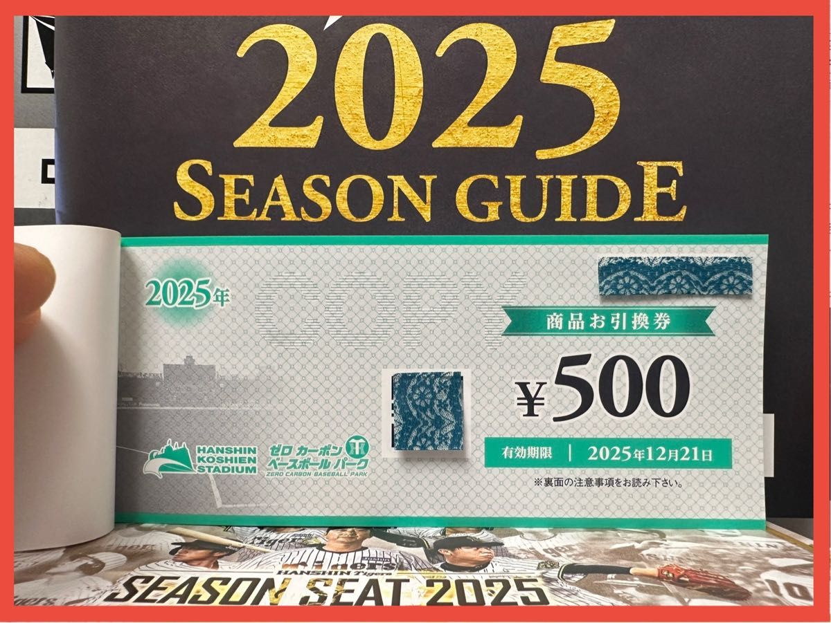 2025/4/11(金) 阪神vs中日 阪神甲子園球場 レフト外野指定席 年間