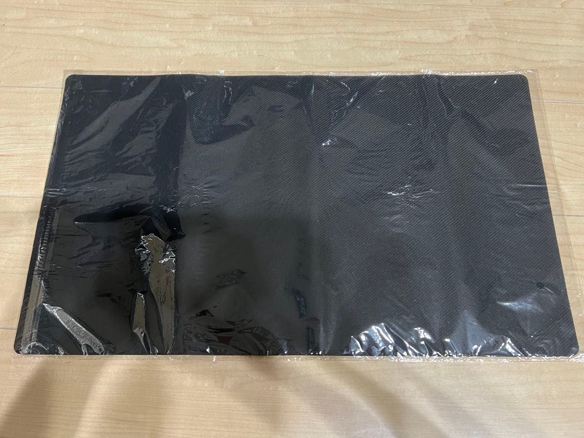 プロフェッサープログラム ポケモンカード ホウエン 第三世代 プレイ