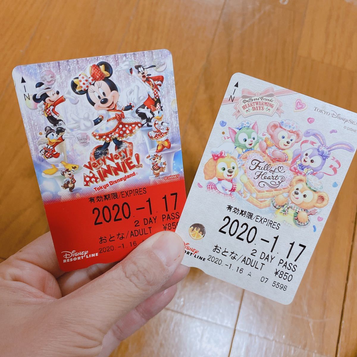 ディズニーリゾートライン フリー切符 使用済み コレクション｜Yahoo