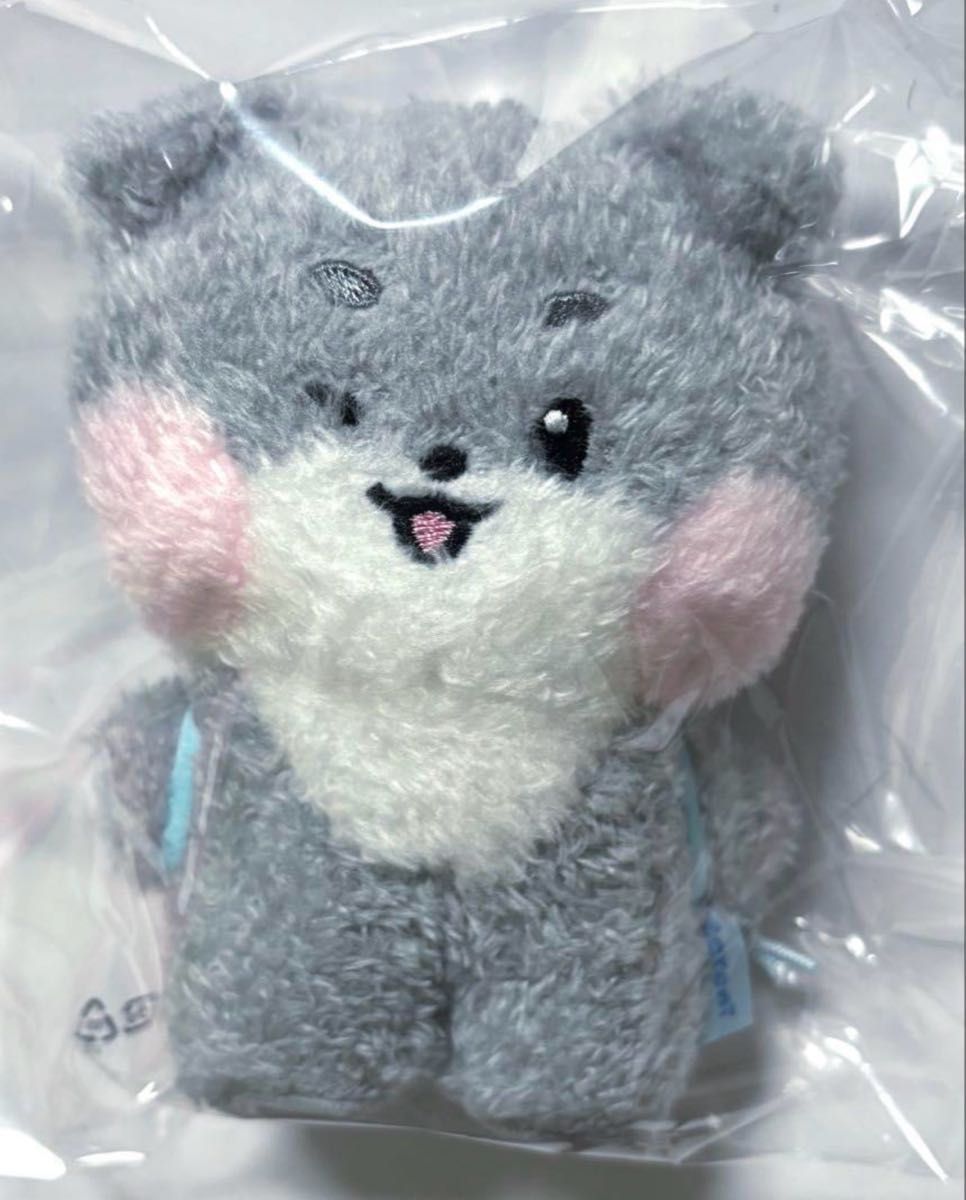 ZB1 ゼベワン ゴヌク gunini ゴニニ zeroni メッセージぬいぐるみ