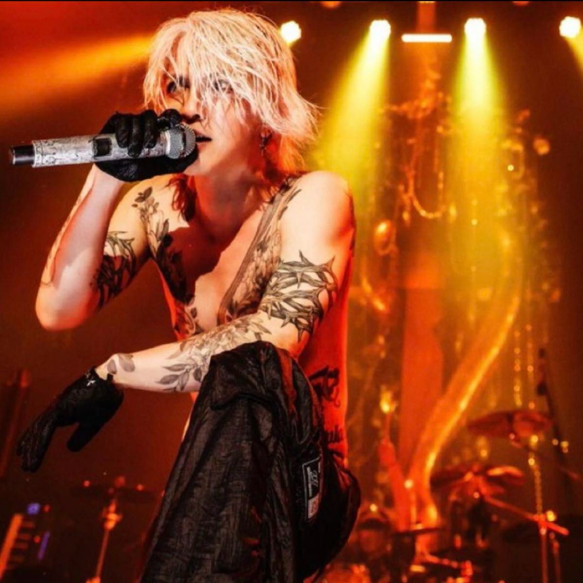 HYDE VAMPS ピック 本人使用 L'Arc〜en〜Ciel ハイド ラルク 非売品