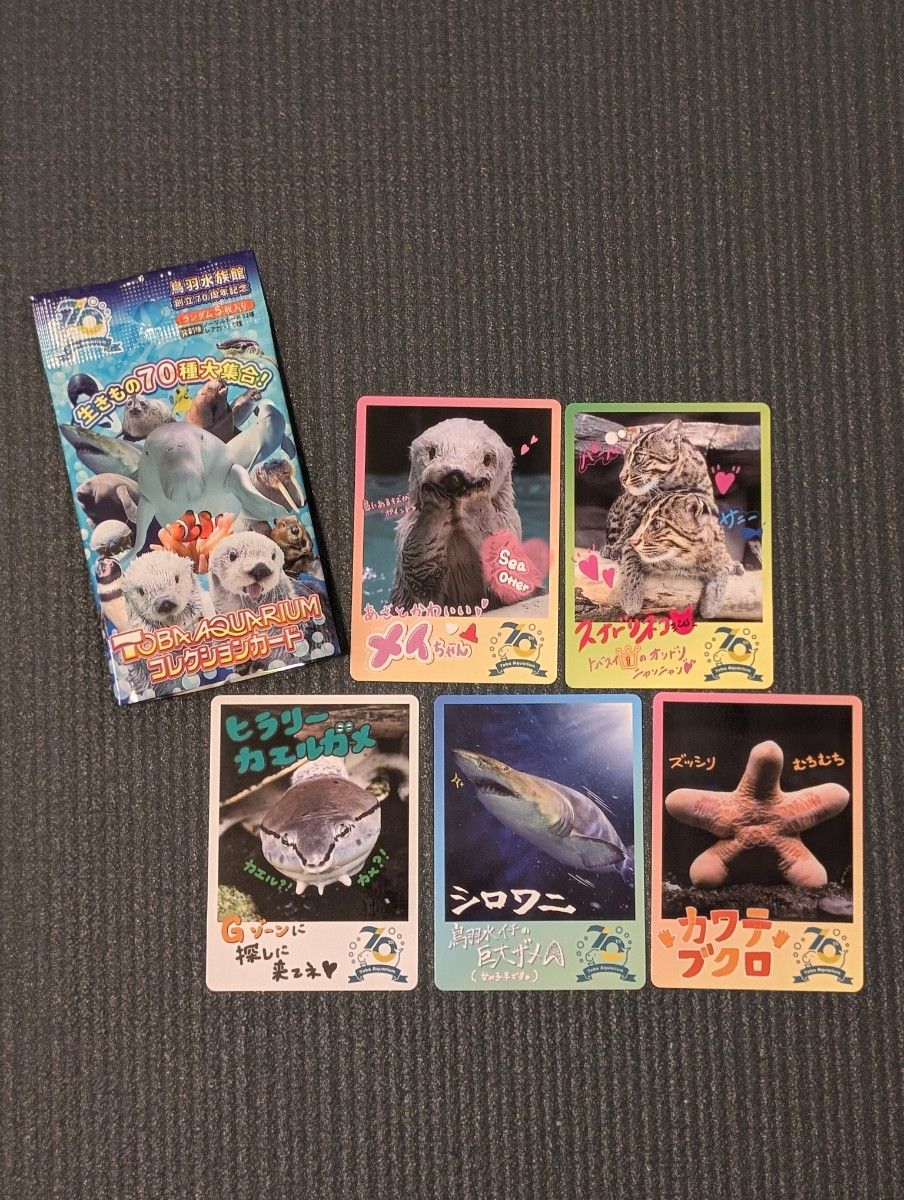 鳥羽水族館 コレクションカード ラッコ メイちゃんセット｜Yahoo