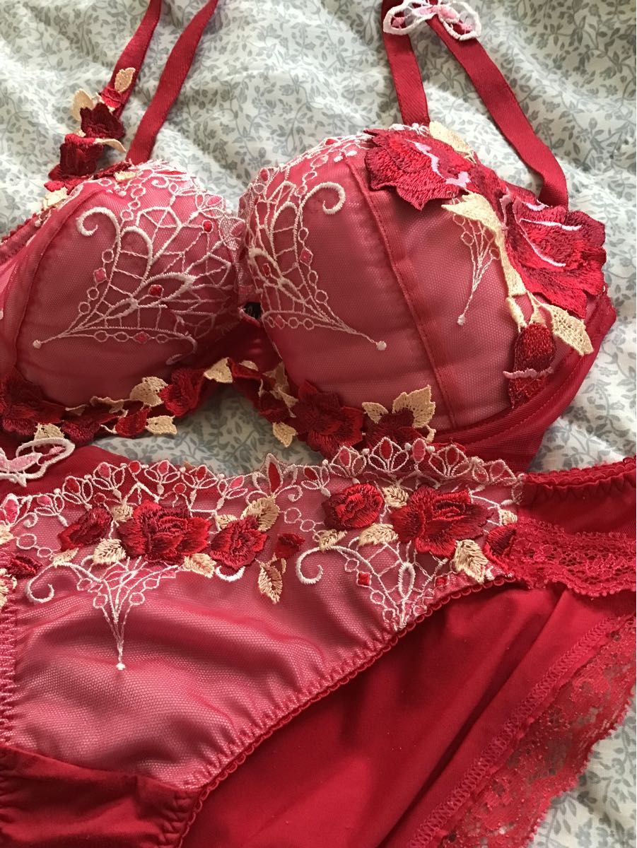 クリーニング済み＞ワコールサルート ブラジャー ショーツE75赤蝶