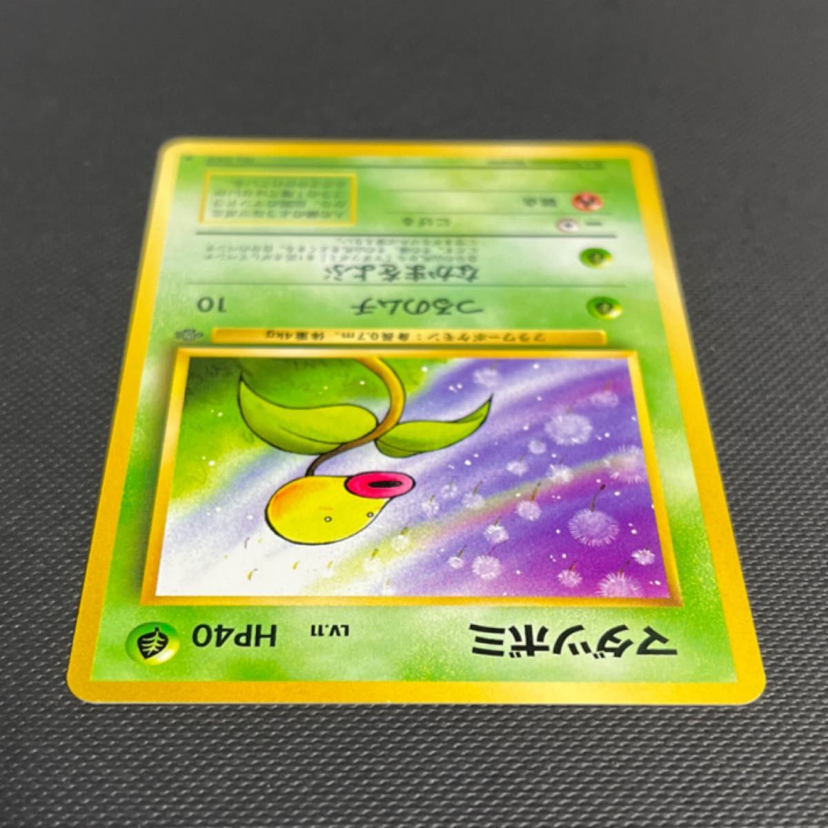 旧裏】ポケモンカード「No 069/マダツボミ/LV 11/HP40」｜Yahoo!フリマ