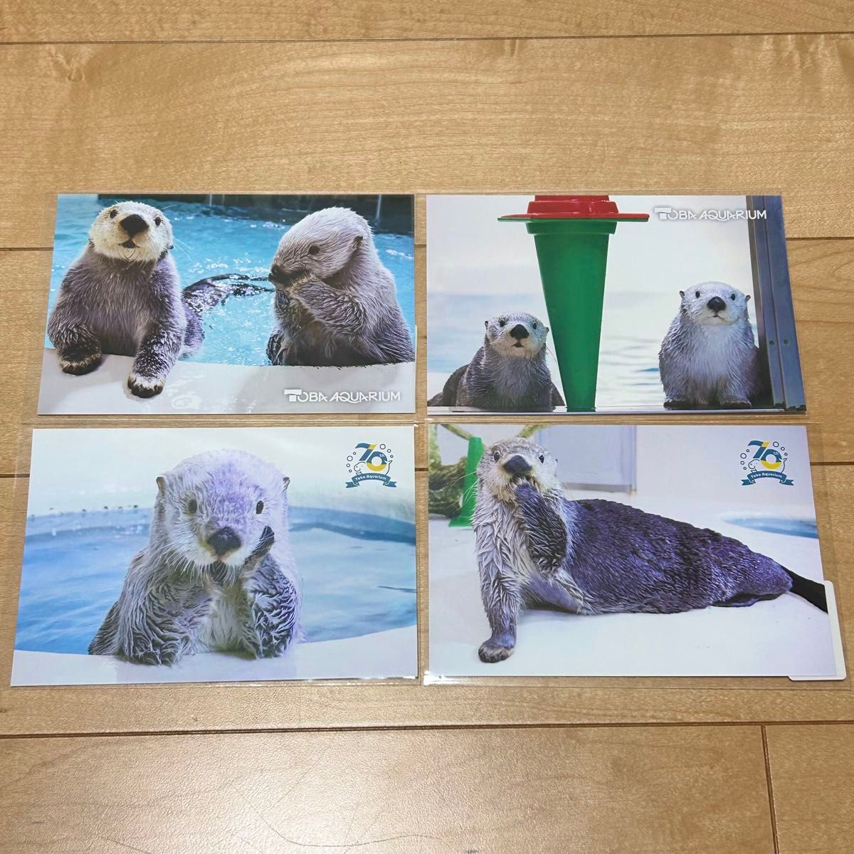 新品 未使用 鳥羽水族館 メイちゃん キラちゃん メイキラ ラッコ