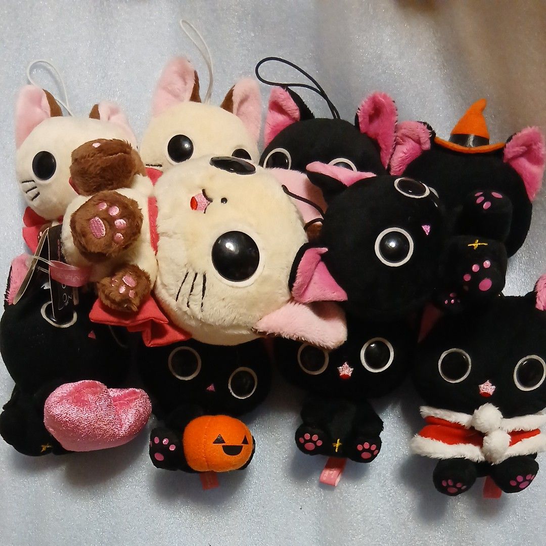 にゃんぱいあ マスコットぬいぐるみ 10個まとめ売り｜Yahoo!フリマ（旧