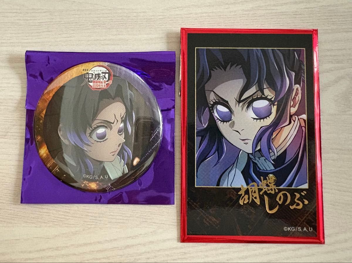 鬼滅の刃 無限城編 ティザービジュアル ランダムチェキ風ブロマイド