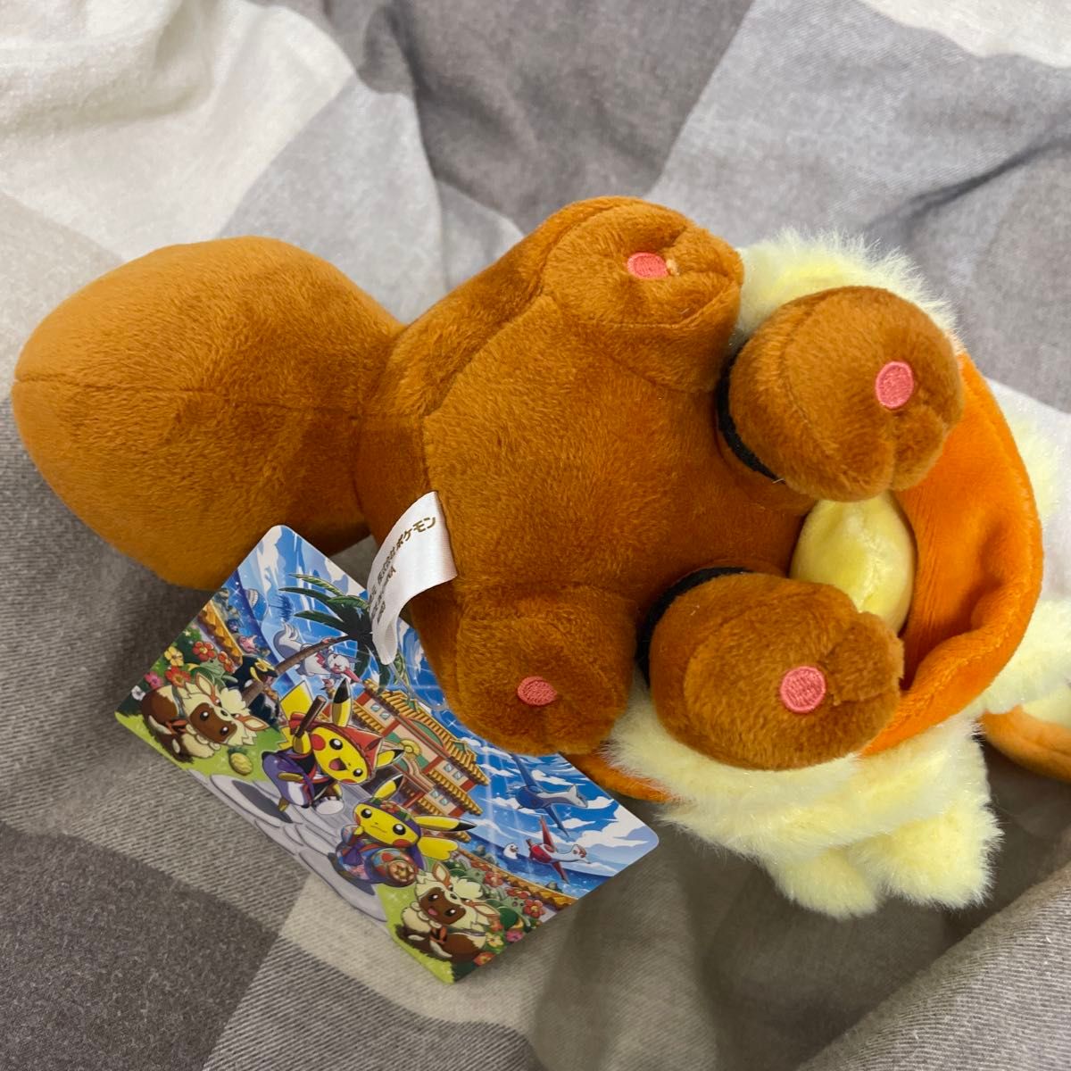 ウィンディポンチョのイーブイ ノーマル ぬいぐるみ ポケモンセンター