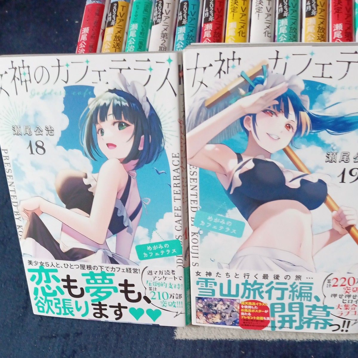 希少 未使用 全巻帯付きセット 既刊20巻セット 女神のカフェテラス