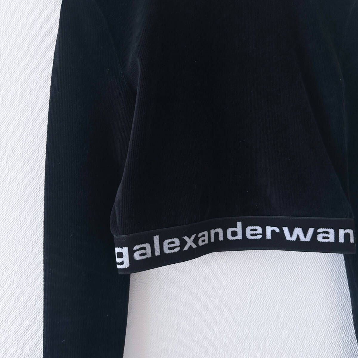 美品】Alexander Wang アレキサンダーワン / クロップド ベロア