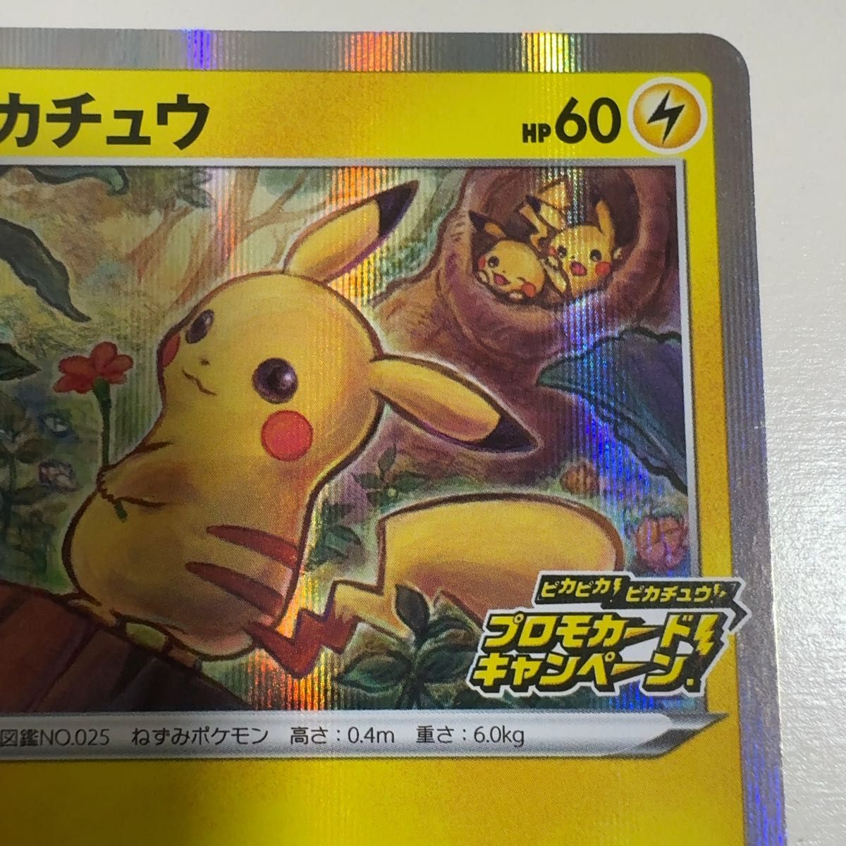 ピカチュウ 124/S-P メスピカ プロモ ポケモンカード ポケカ｜Yahoo